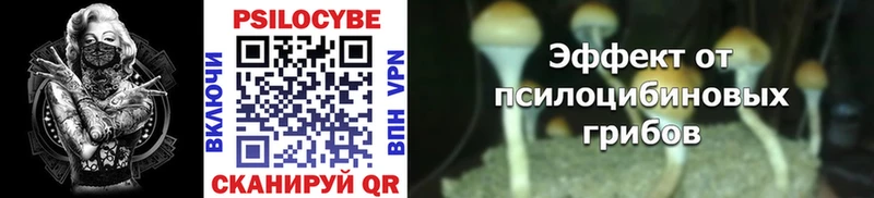 где купить   Навашино  Галлюциногенные грибы Magic Shrooms 